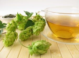 hops-tea